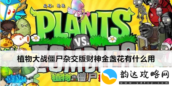 植物大战僵尸杂交版财神金盏花有什么用