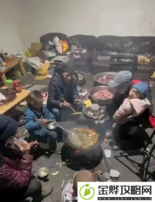 一家人大杂乱:生活的真实剪影:解锁独特美味新秘籍