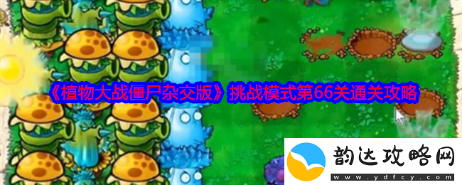植物大战僵尸杂交版挑战模式第66关怎么过关通关攻略